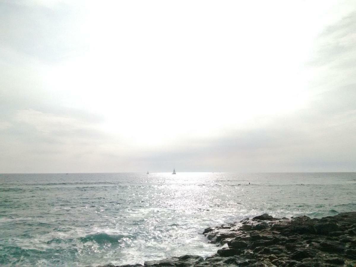 Primelin Maison Entre Terre Et Mer المظهر الخارجي الصورة
